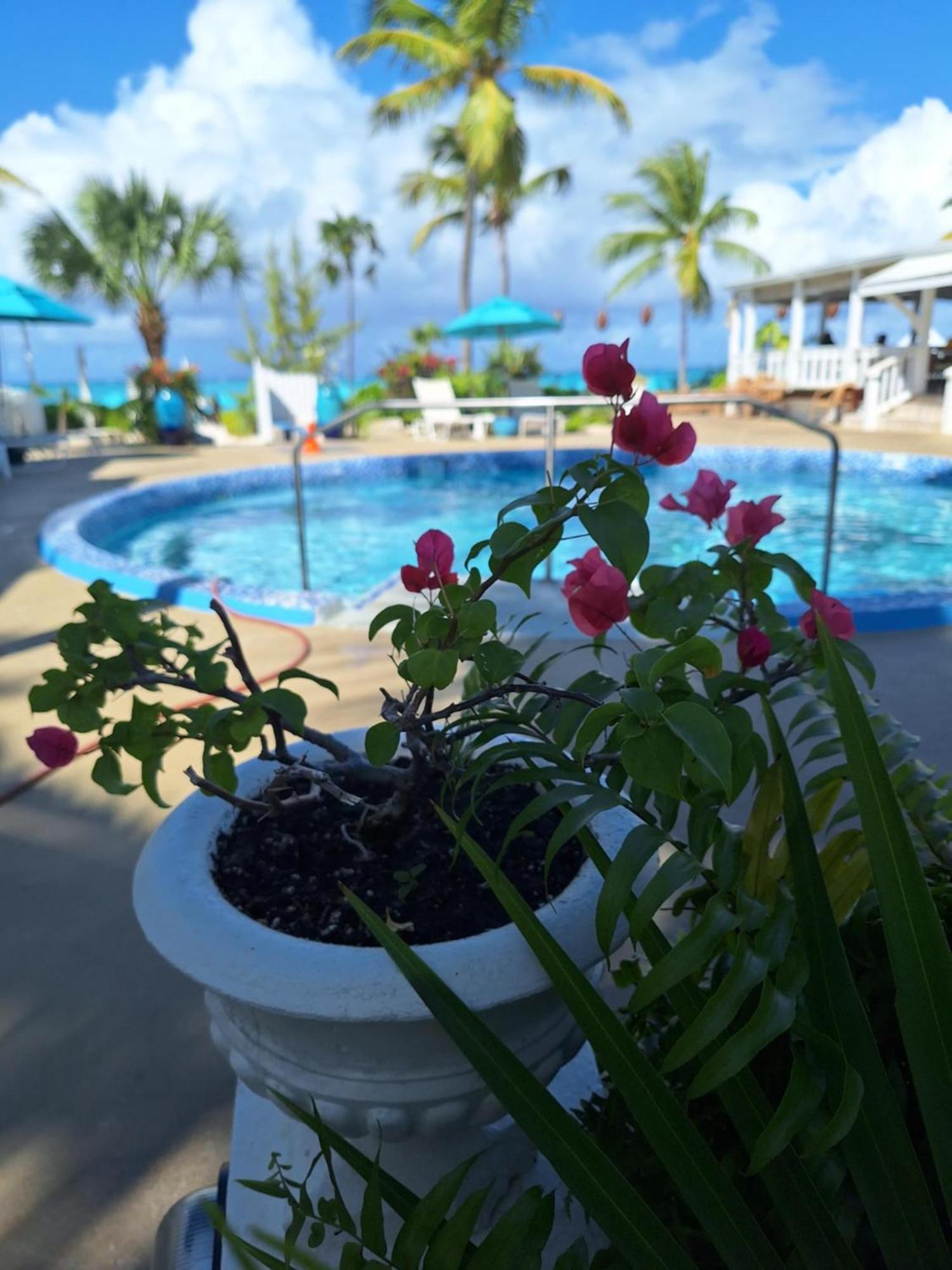 Sibonne Beach Hotel Grace Bay Buitenkant foto